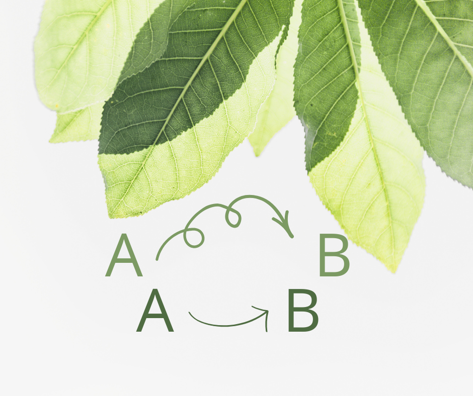 Feuilles d'arbre superposées dans le coin supérieur droit. Les lettres A et B apparaissent en dessous et sont reliées par une flèche en spirale. Sur la ligne plus bas, les lettres A et B sont reliées par une flèche droite.